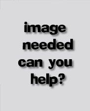 Click Here To View The Manual